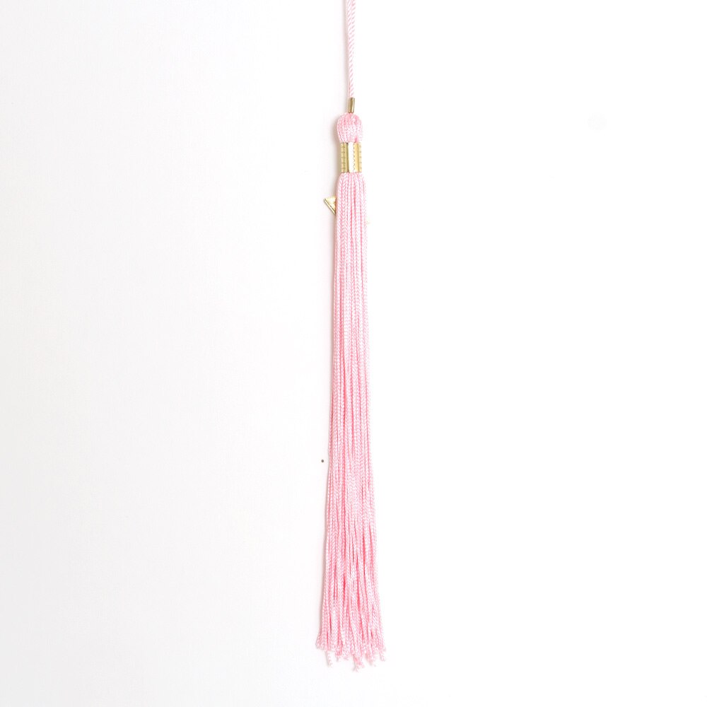 Ducks Spirit, Josten's, Bachelor & Masters, Grad, Student, Tassel, 154599, Pink
